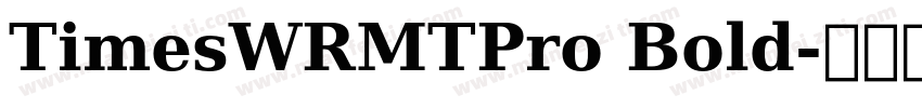 TimesWRMTPro Bold字体转换